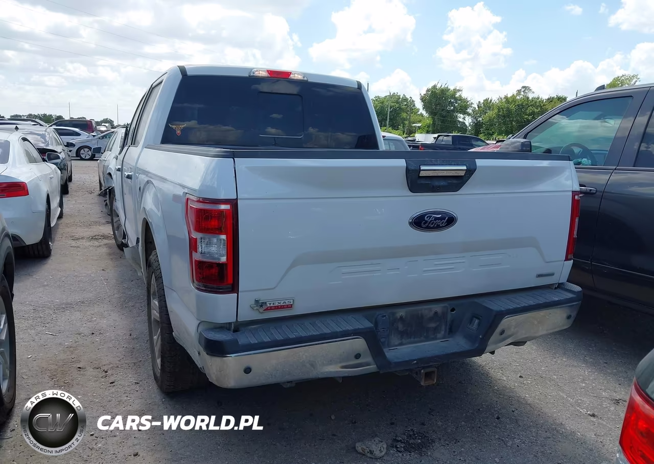 2019 Ford F-150 Xlt VIN:1FTEW1CP3KKD12355 - 3