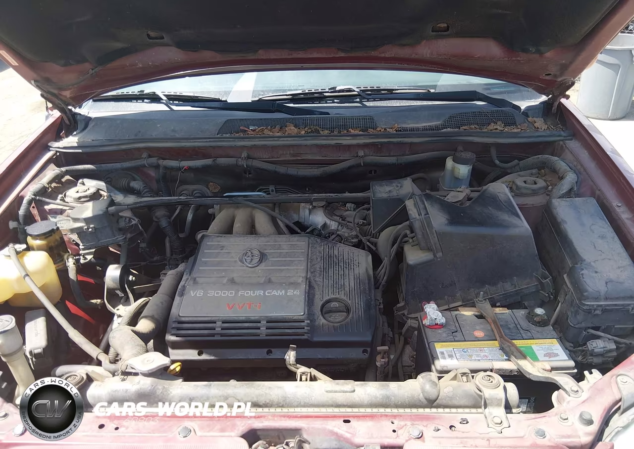 2001 Toyota Highlander V6 VIN:JTEGF21A610019763 - 10