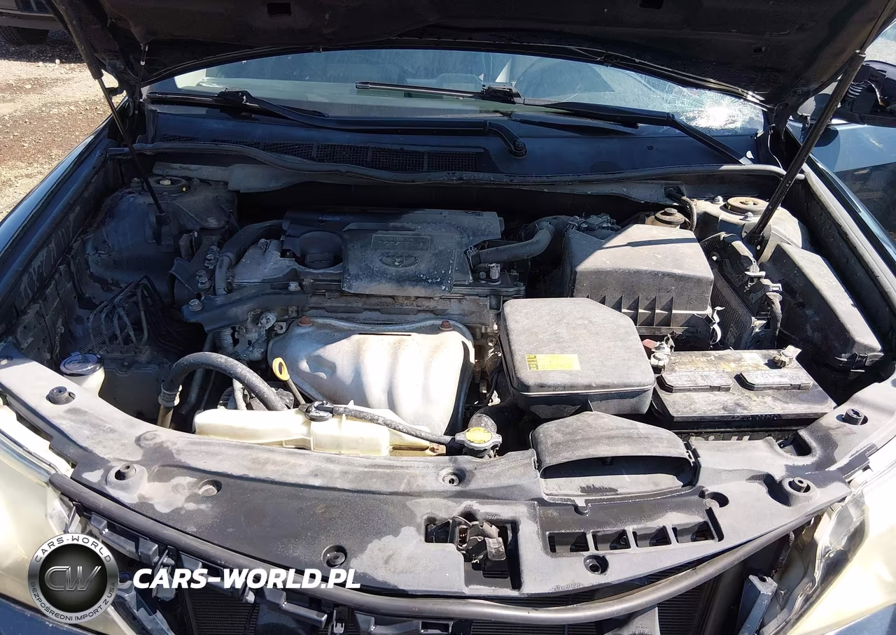 2014 Toyota Camry Se VIN:4T1BF1FK4EU451479 - 10