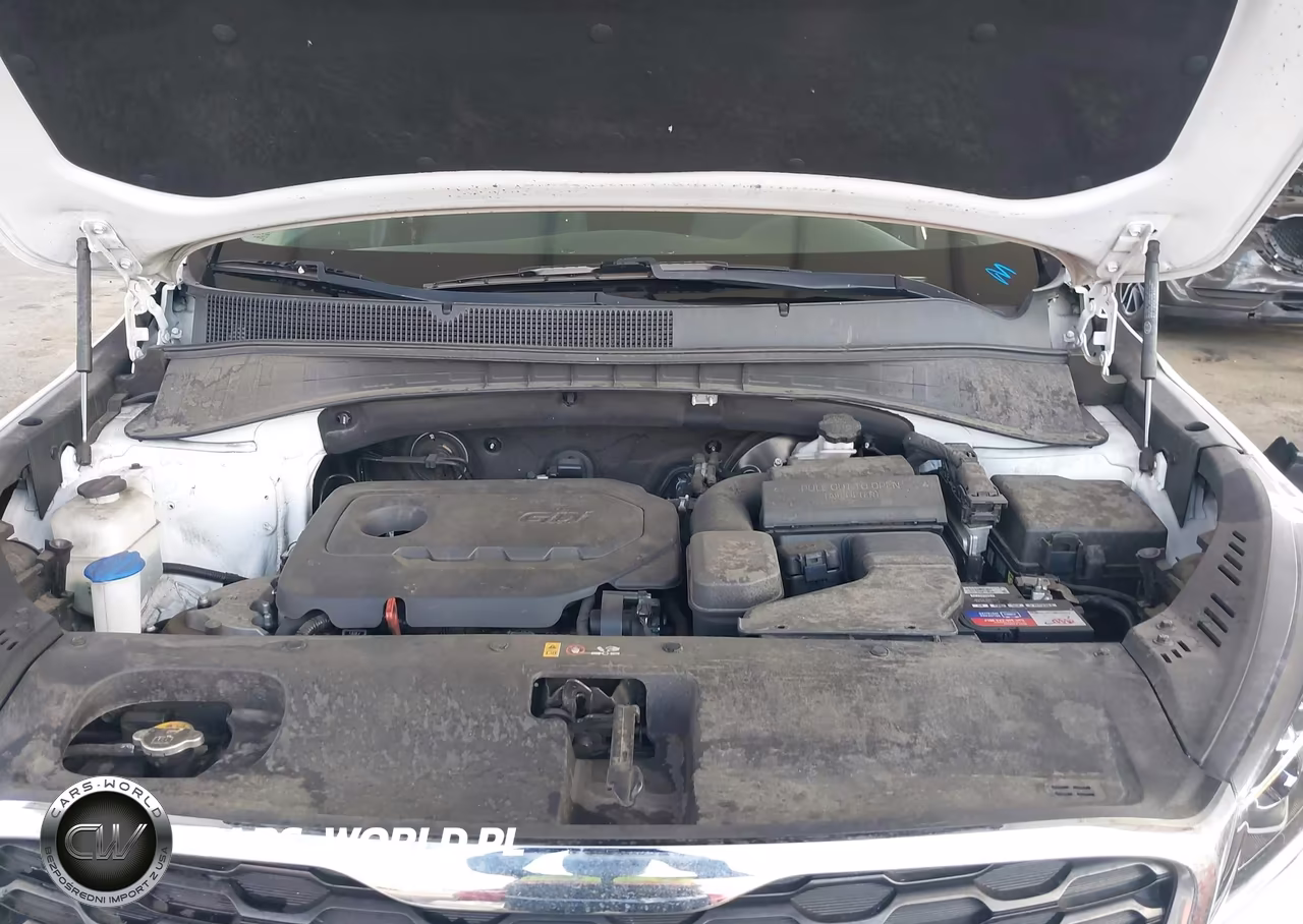 2019 Kia Sorento 2.4L Lx VIN:5XYPG4A3XKG554007 - 10