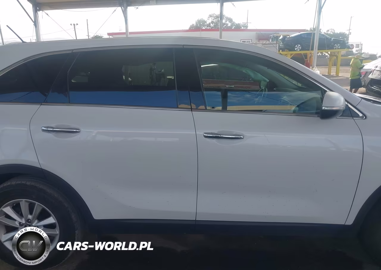 2019 Kia Sorento 2.4L Lx VIN:5XYPG4A3XKG554007 - 13
