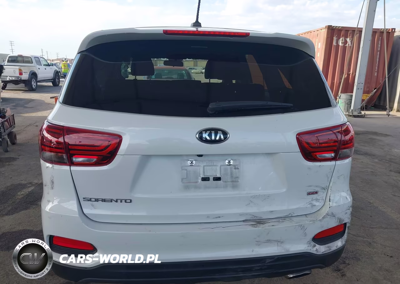 2019 Kia Sorento 2.4L Lx VIN:5XYPG4A3XKG554007 - 16