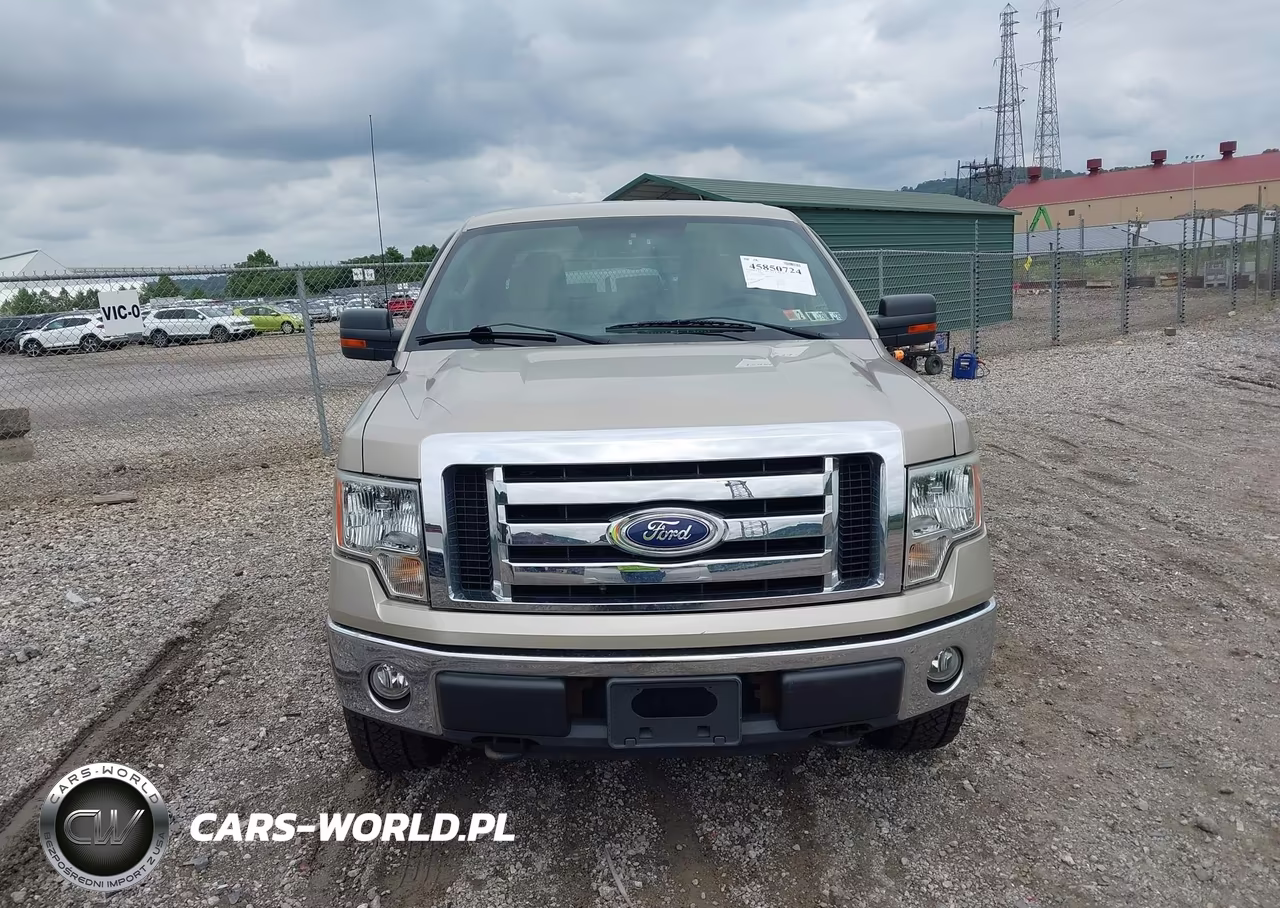 2010 Ford F-150 Xl-Xlt VIN:1FTEW1E85AFB84018 - 12