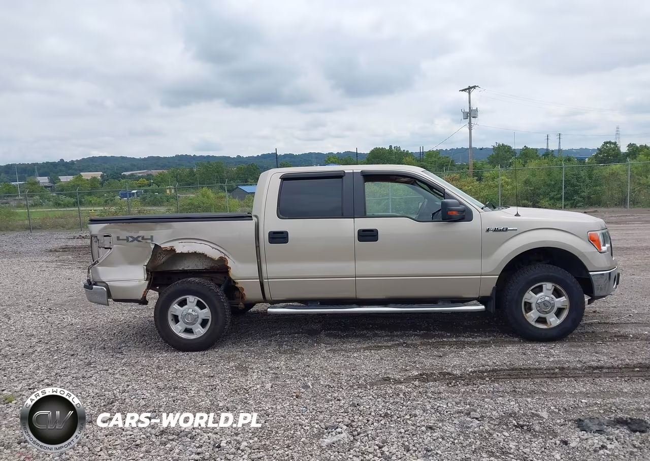 2010 Ford F-150 Xl-Xlt VIN:1FTEW1E85AFB84018 - 13