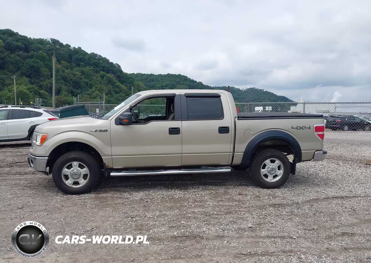 2010 Ford F-150 Xl-Xlt VIN:1FTEW1E85AFB84018 - 14