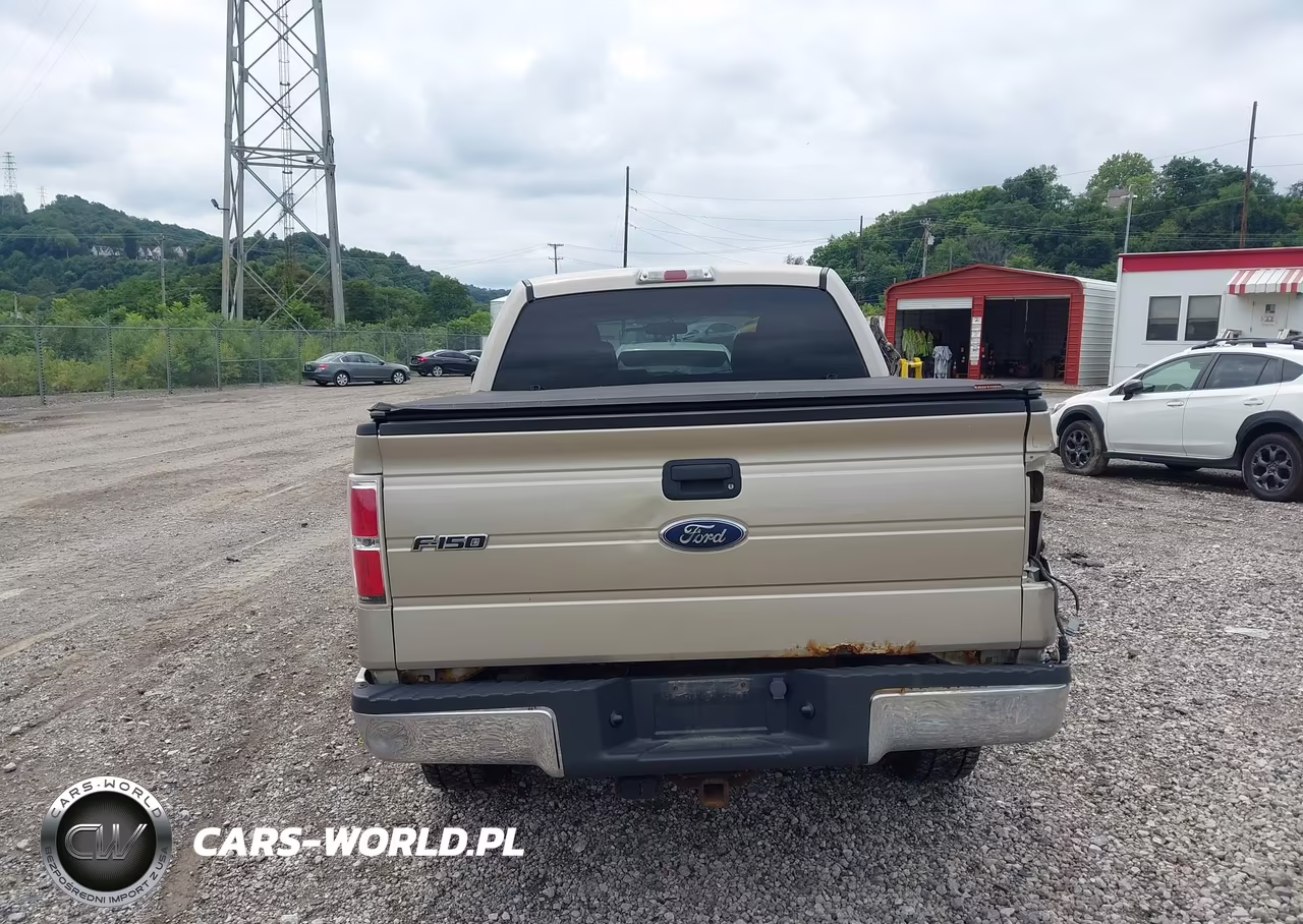 2010 Ford F-150 Xl-Xlt VIN:1FTEW1E85AFB84018 - 16
