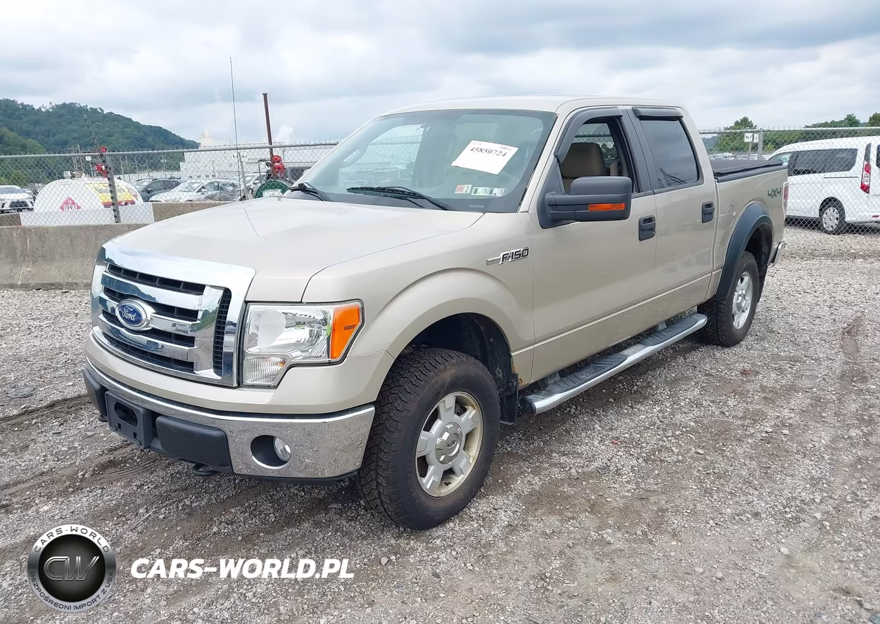 2010 Ford F-150 Xl-Xlt VIN:1FTEW1E85AFB84018 - 2
