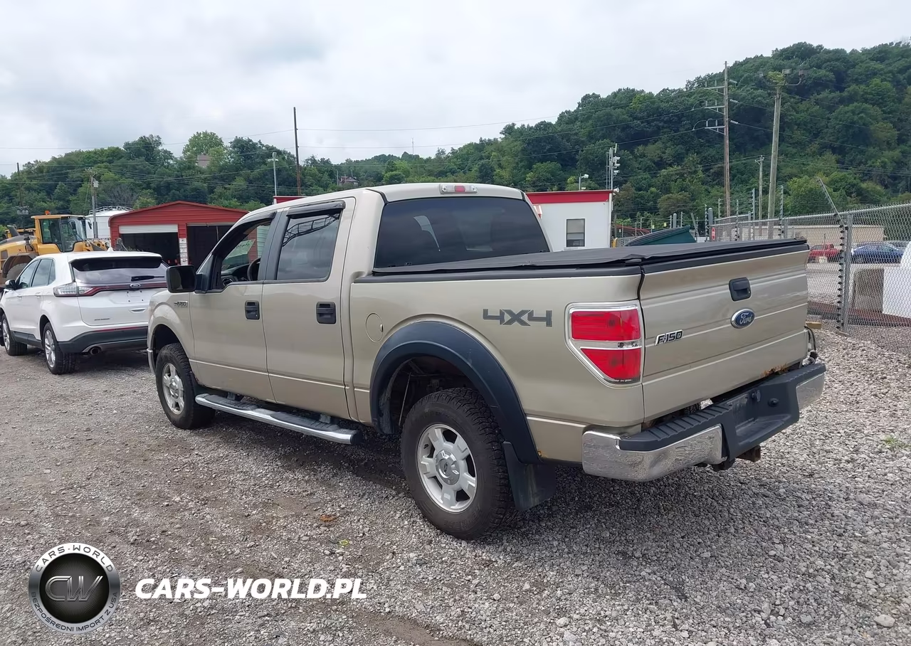2010 Ford F-150 Xl-Xlt VIN:1FTEW1E85AFB84018 - 3