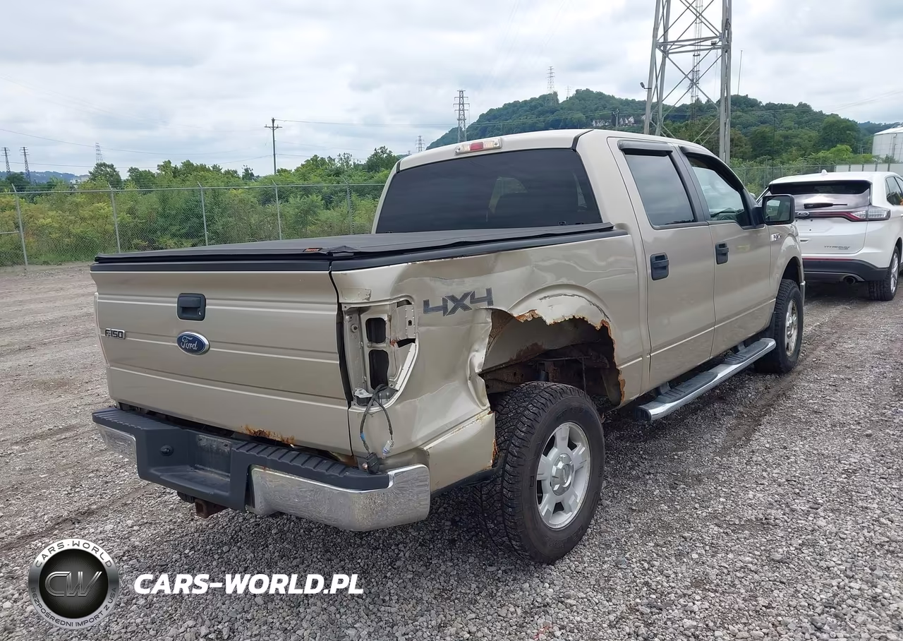 2010 Ford F-150 Xl-Xlt VIN:1FTEW1E85AFB84018 - 4