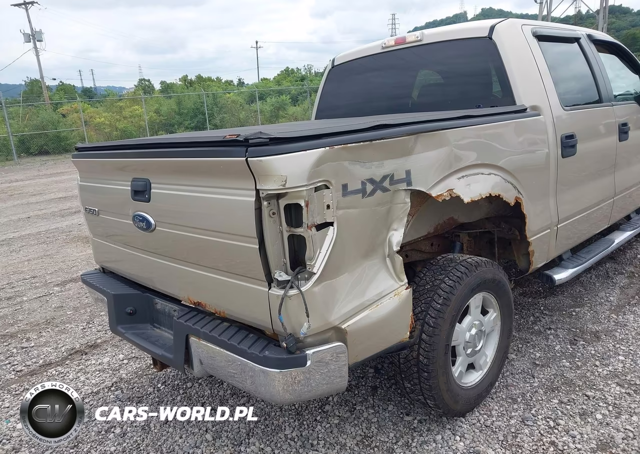 2010 Ford F-150 Xl-Xlt VIN:1FTEW1E85AFB84018 - 6