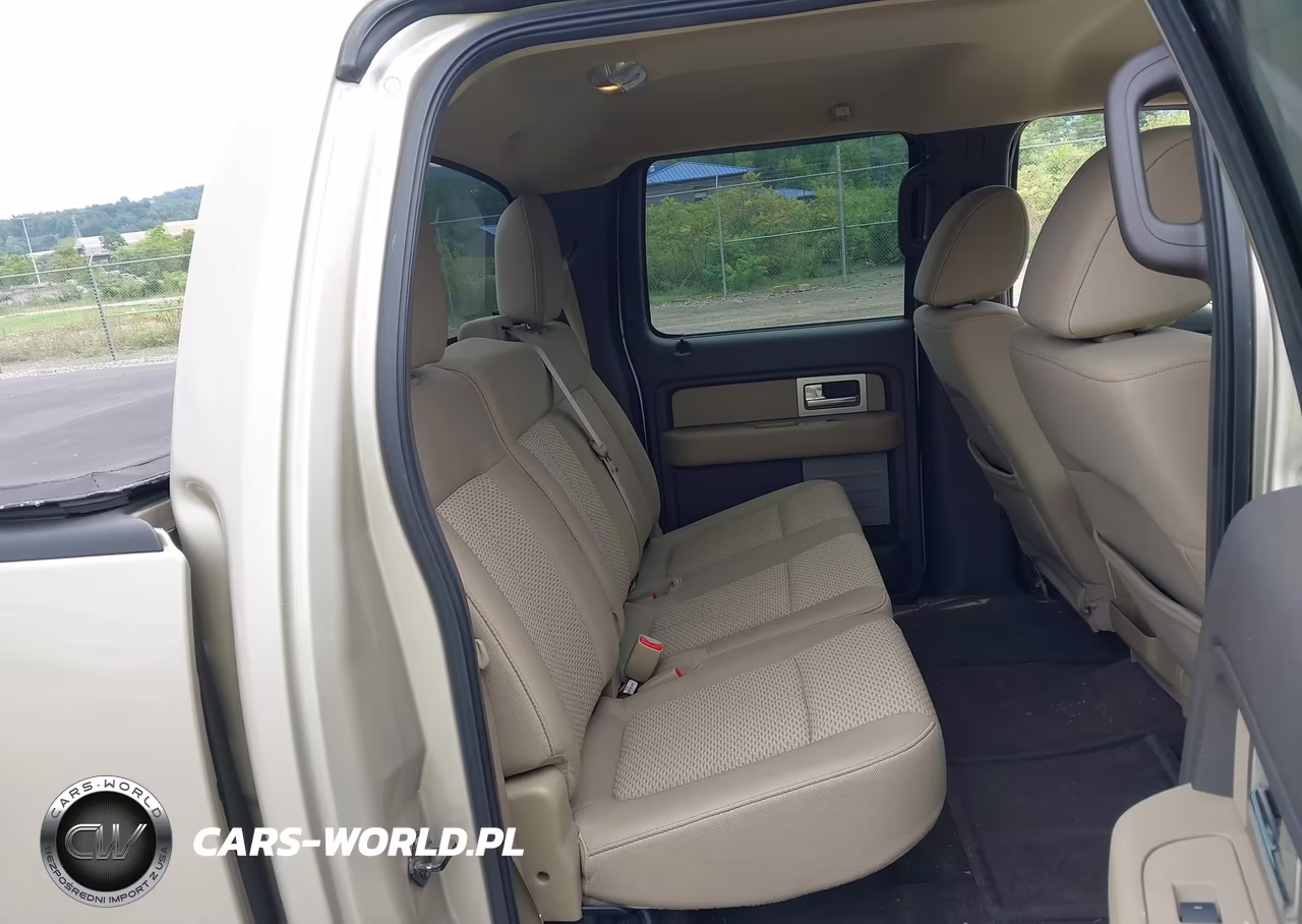 2010 Ford F-150 Xl-Xlt VIN:1FTEW1E85AFB84018 - 8