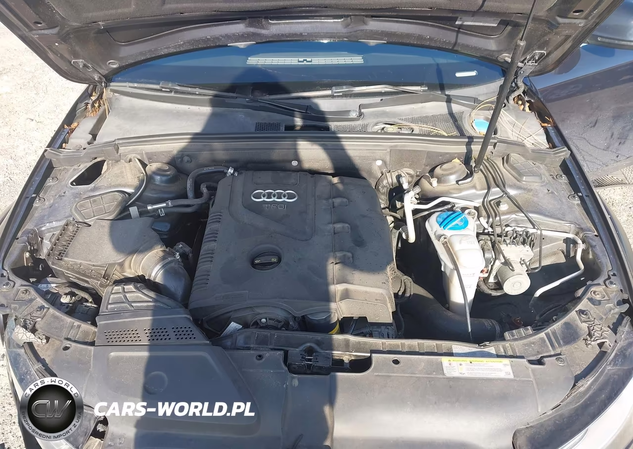 AUDI ALLROAD VIN:WA1UFAFL9GA006014 - 10