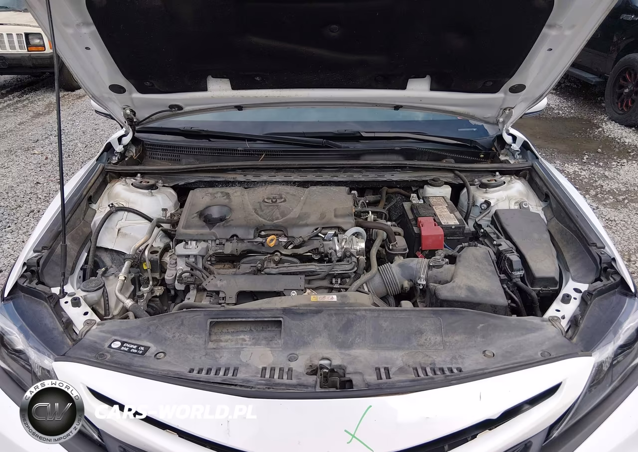 2022 Toyota Camry Se VIN:4T1T11AK9NU658606 - 10