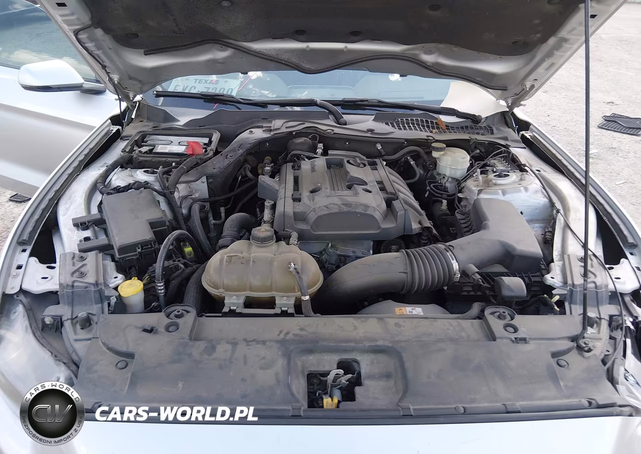 2015 Ford Mustang Ecoboost VIN:1FA6P8THXF5325701 - 10