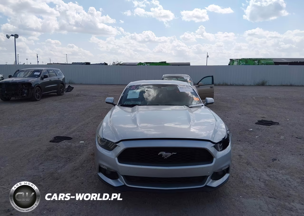 2015 Ford Mustang Ecoboost VIN:1FA6P8THXF5325701 - 12