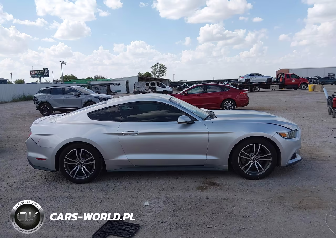 2015 Ford Mustang Ecoboost VIN:1FA6P8THXF5325701 - 13