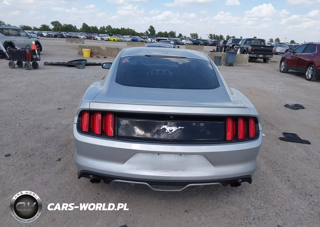 2015 Ford Mustang Ecoboost VIN:1FA6P8THXF5325701 - 16
