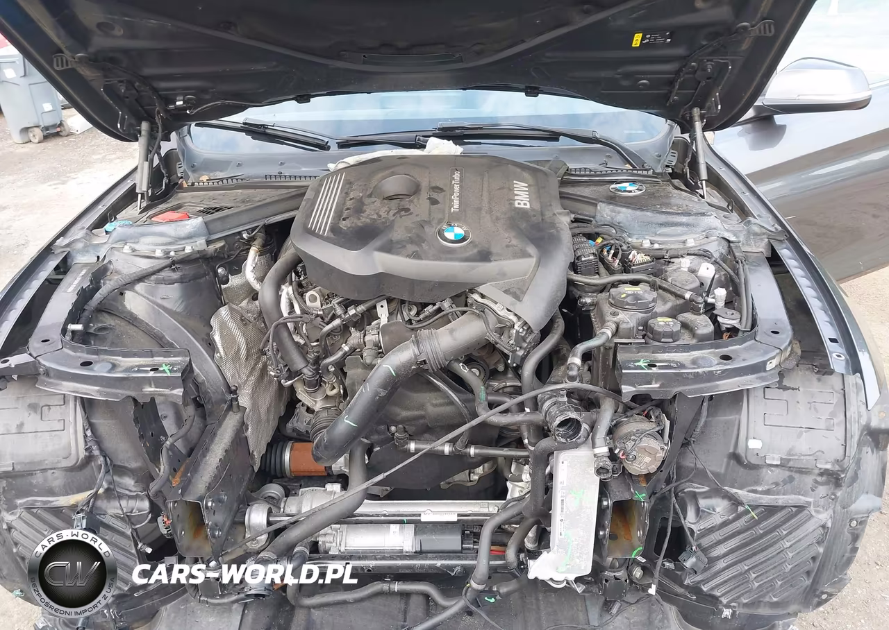 2019 BMW 430I Gran Coupe xDrive VIN:WBA4J3C55KBL10589 - 10