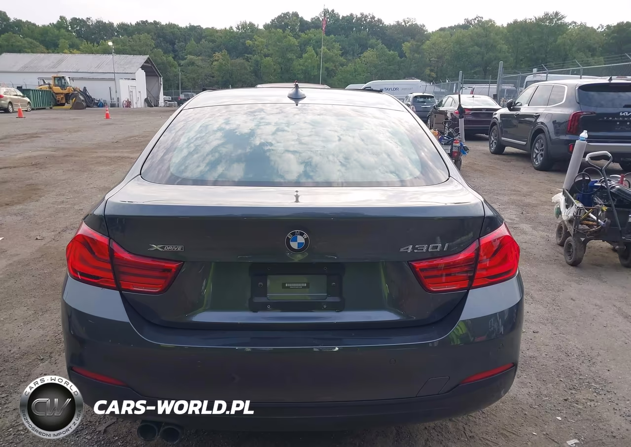 2019 BMW 430I Gran Coupe xDrive VIN:WBA4J3C55KBL10589 - 17