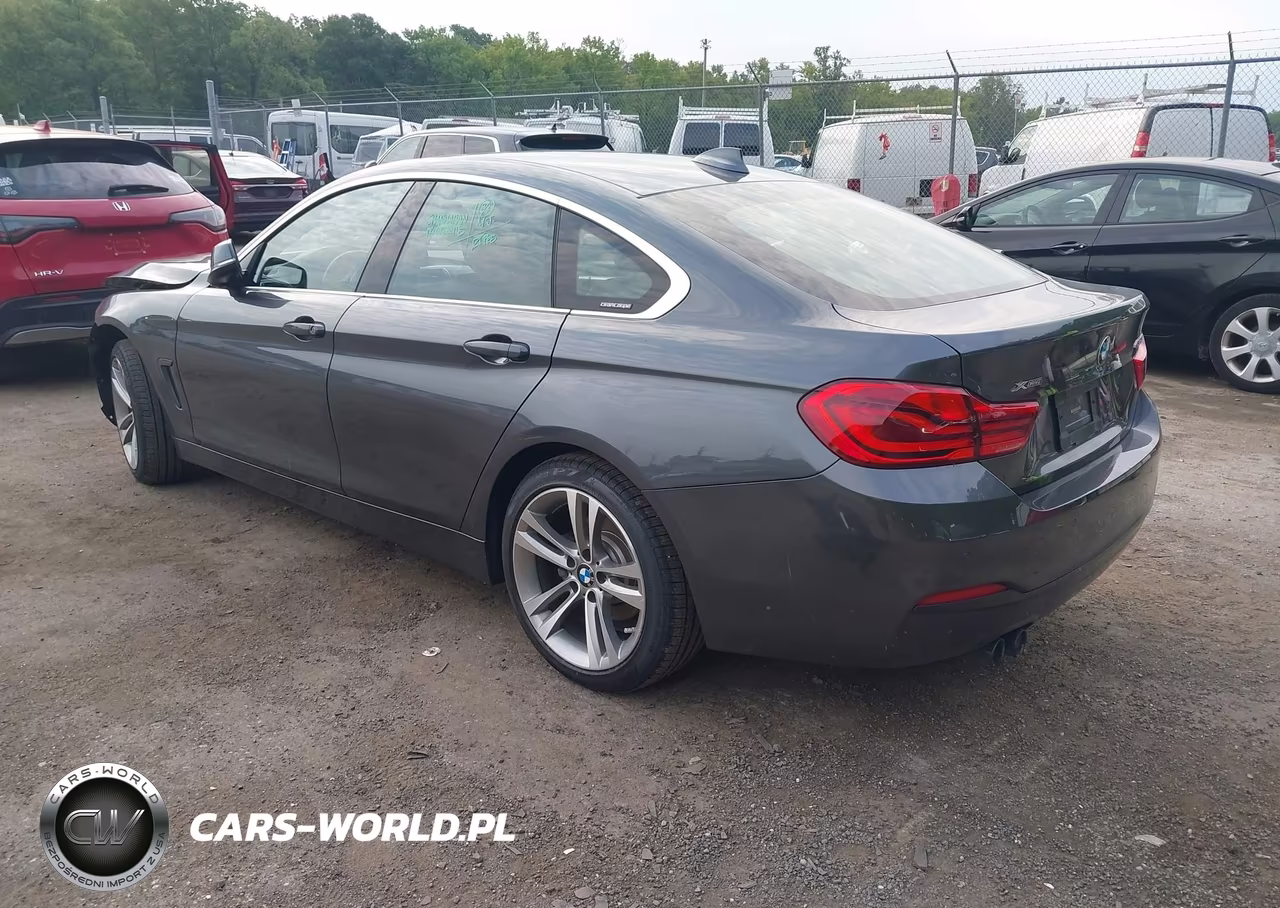 2019 BMW 430I Gran Coupe xDrive VIN:WBA4J3C55KBL10589 - 3