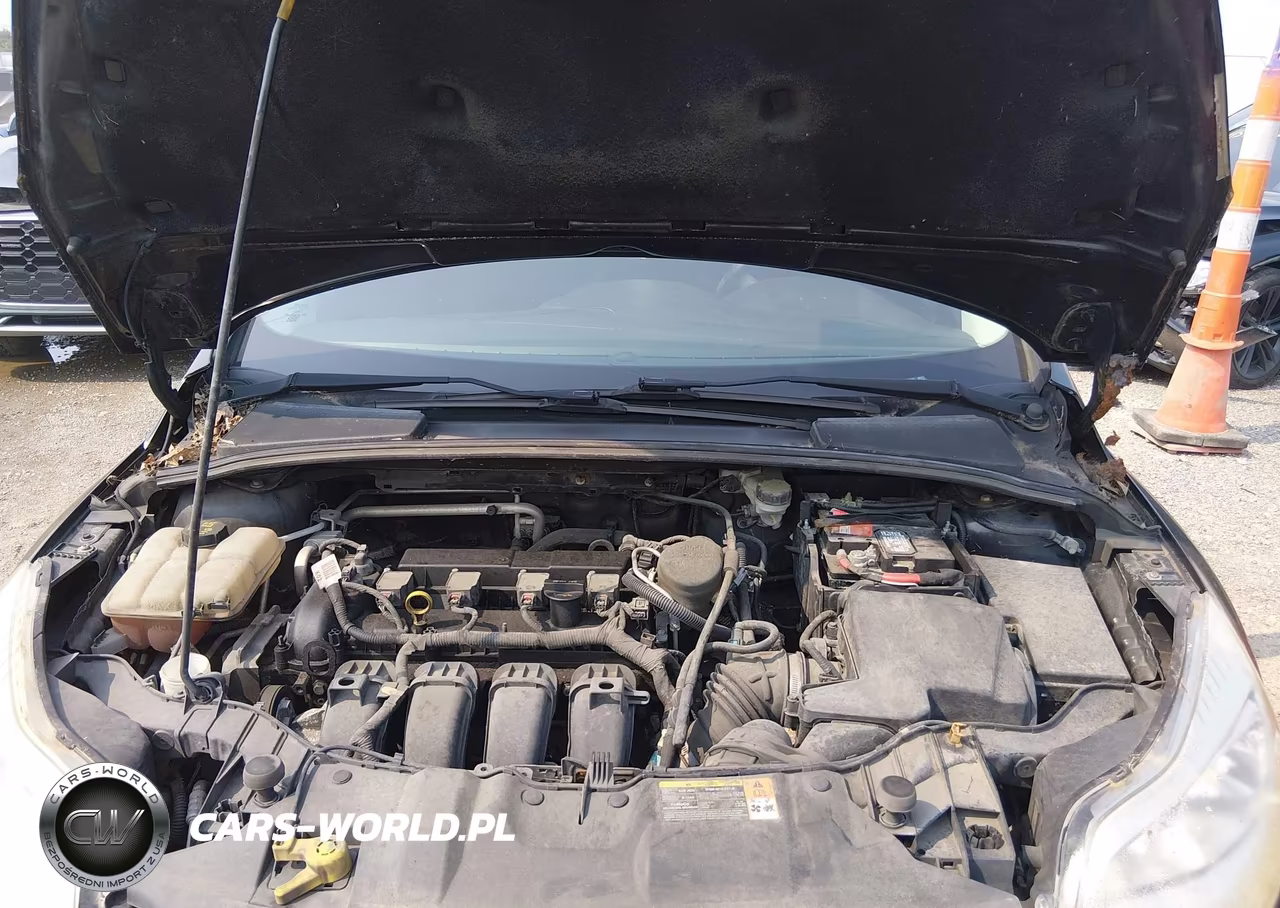 2014 Ford Focus Se VIN:1FADP3K20EL177480 - 10