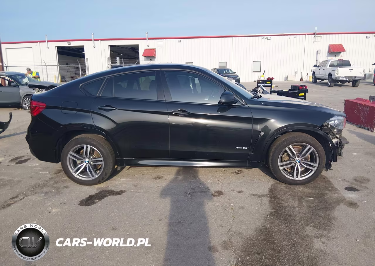 2017 BMW X6 xDrive35I VIN:5UXKU2C30H0U29289 - 14