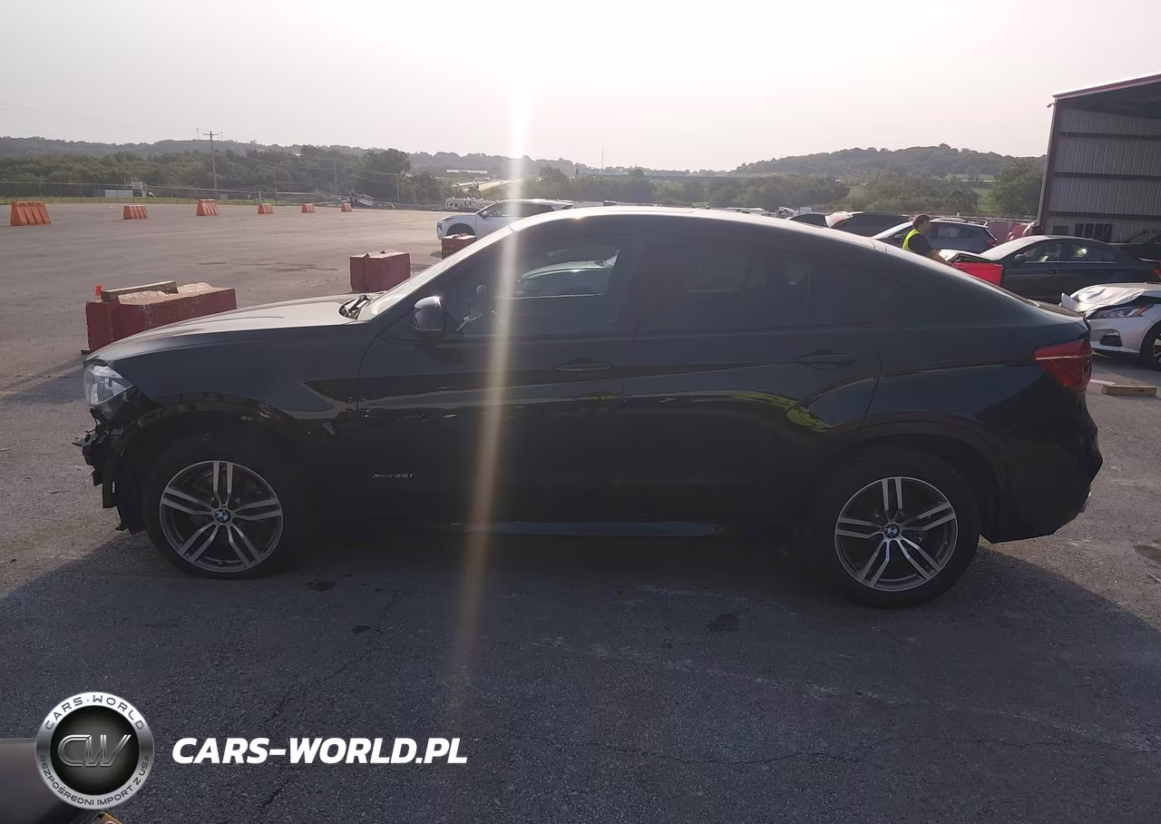 2017 BMW X6 xDrive35I VIN:5UXKU2C30H0U29289 - 15