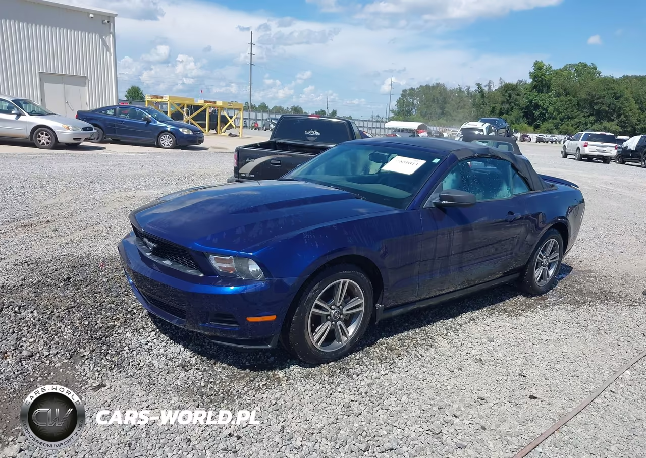 2010 Ford Mustang V6-V6 Premium VIN:1ZVBP8EN1A5134668 - 2