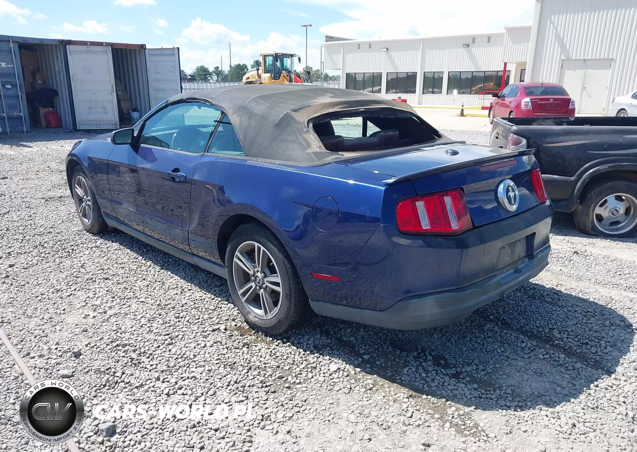 2010 Ford Mustang V6-V6 Premium VIN:1ZVBP8EN1A5134668 - 3