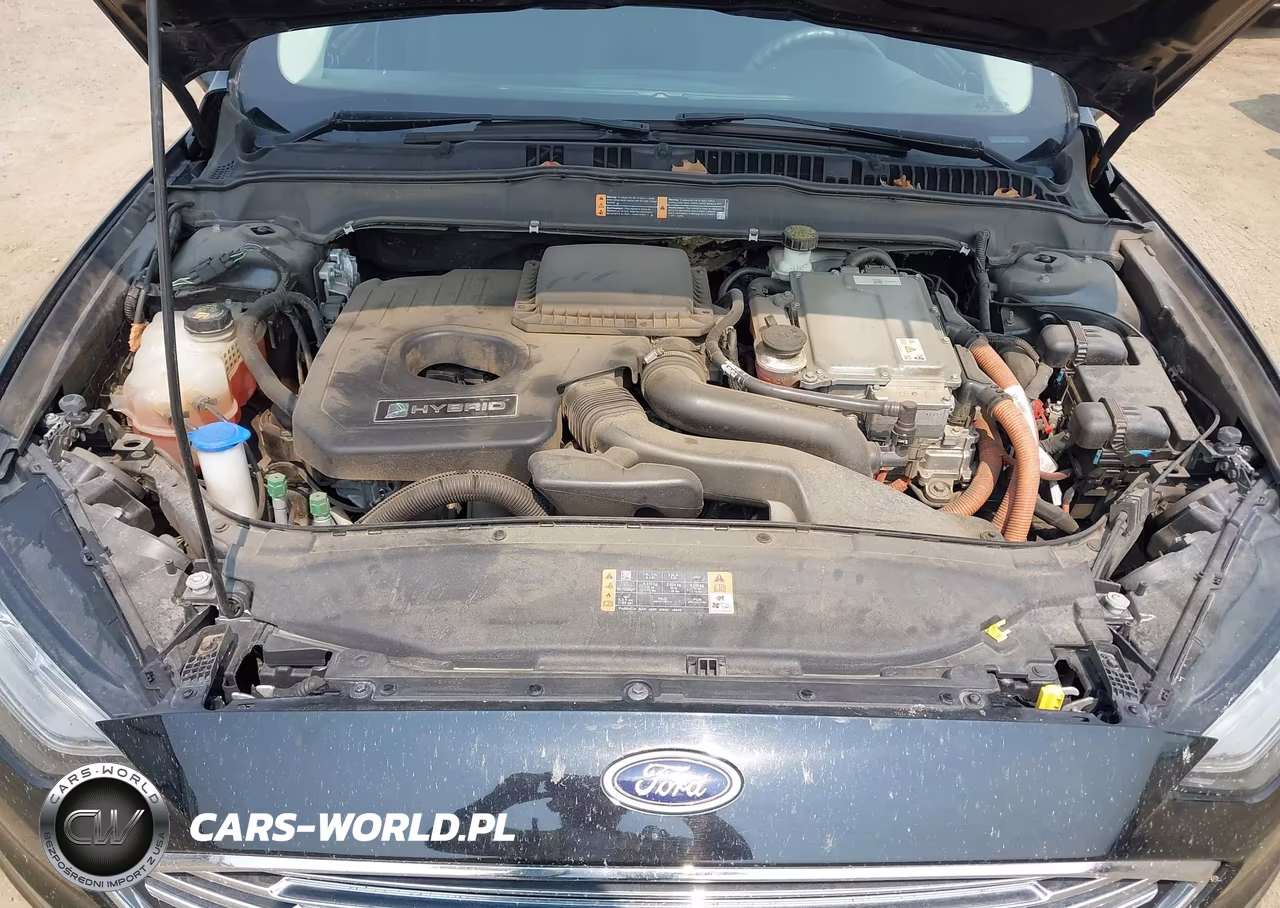 2017 Ford Fusion Hybrid Se VIN:3FA6P0LU3HR131266 - 10