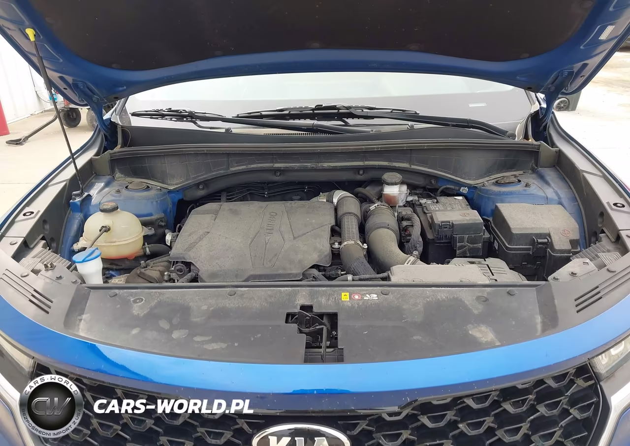 2021 Kia Sorento Ex VIN:5XYRHDLF2MG069487 - 10