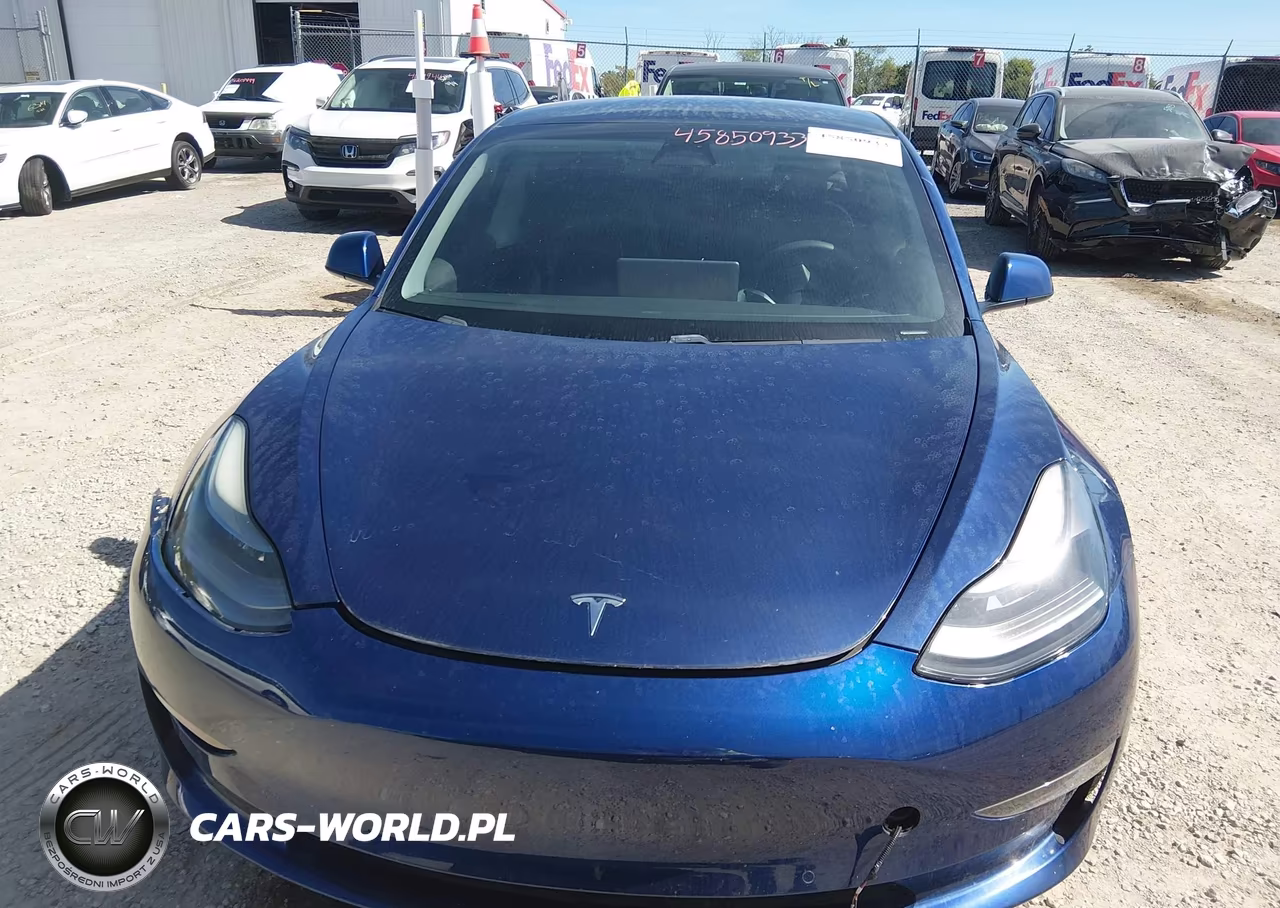 2021 Tesla Model 3 Long Range Dual Motor All-Wheel Drive VIN:5YJ3E1EBXMF902287 - 12