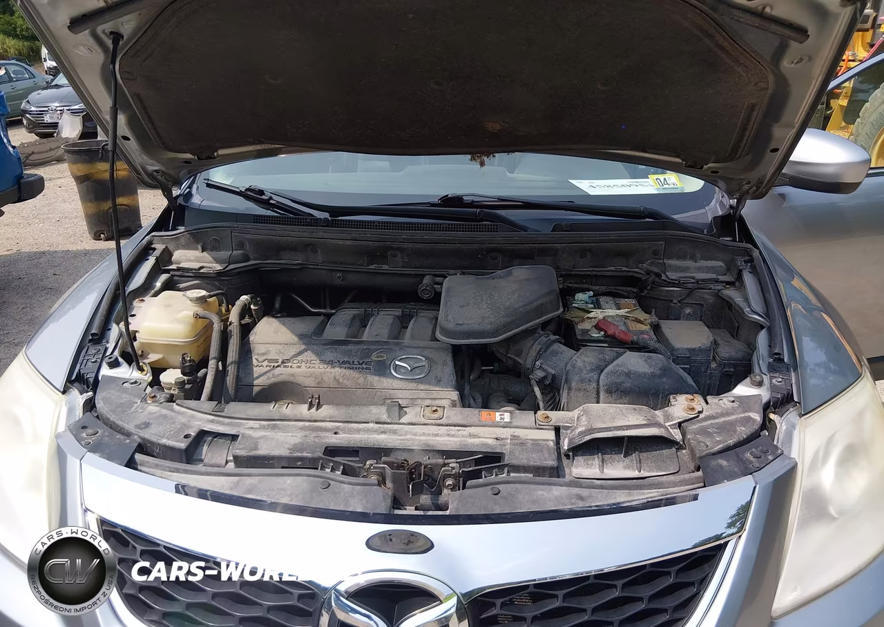 2011 Mazda Cx-9 Touring VIN:JM3TB3CV4B0305074 - 10
