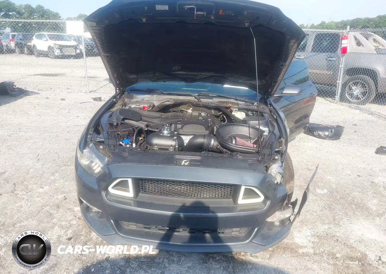 2016 Ford Mustang Ecoboost Premium VIN:1FATP8UH6G5307330 - 10