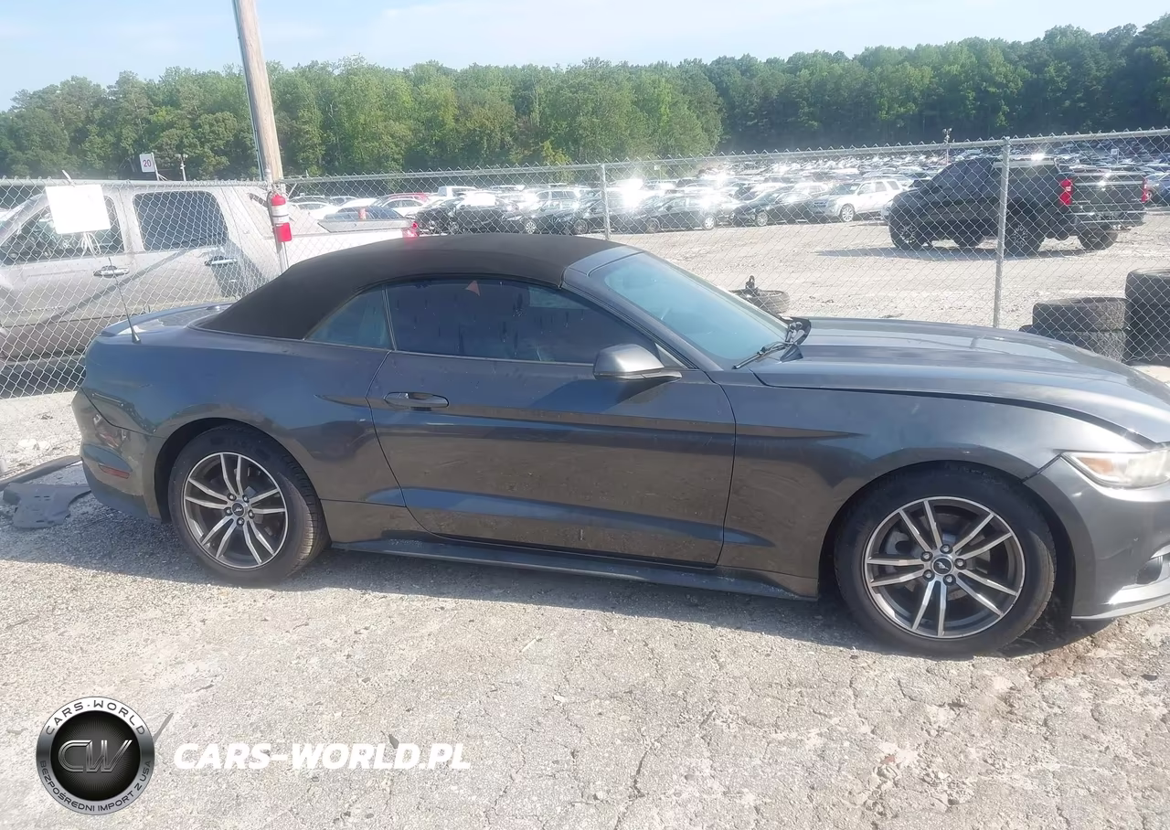 2016 Ford Mustang Ecoboost Premium VIN:1FATP8UH6G5307330 - 13