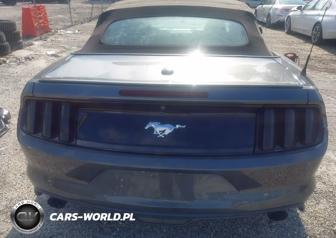 2016 Ford Mustang Ecoboost Premium VIN:1FATP8UH6G5307330 - 16