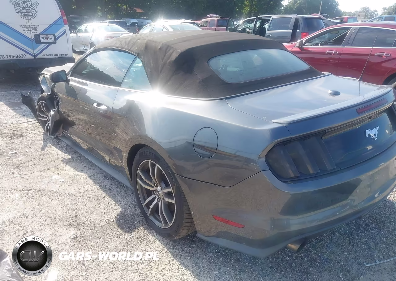 2016 Ford Mustang Ecoboost Premium VIN:1FATP8UH6G5307330 - 3