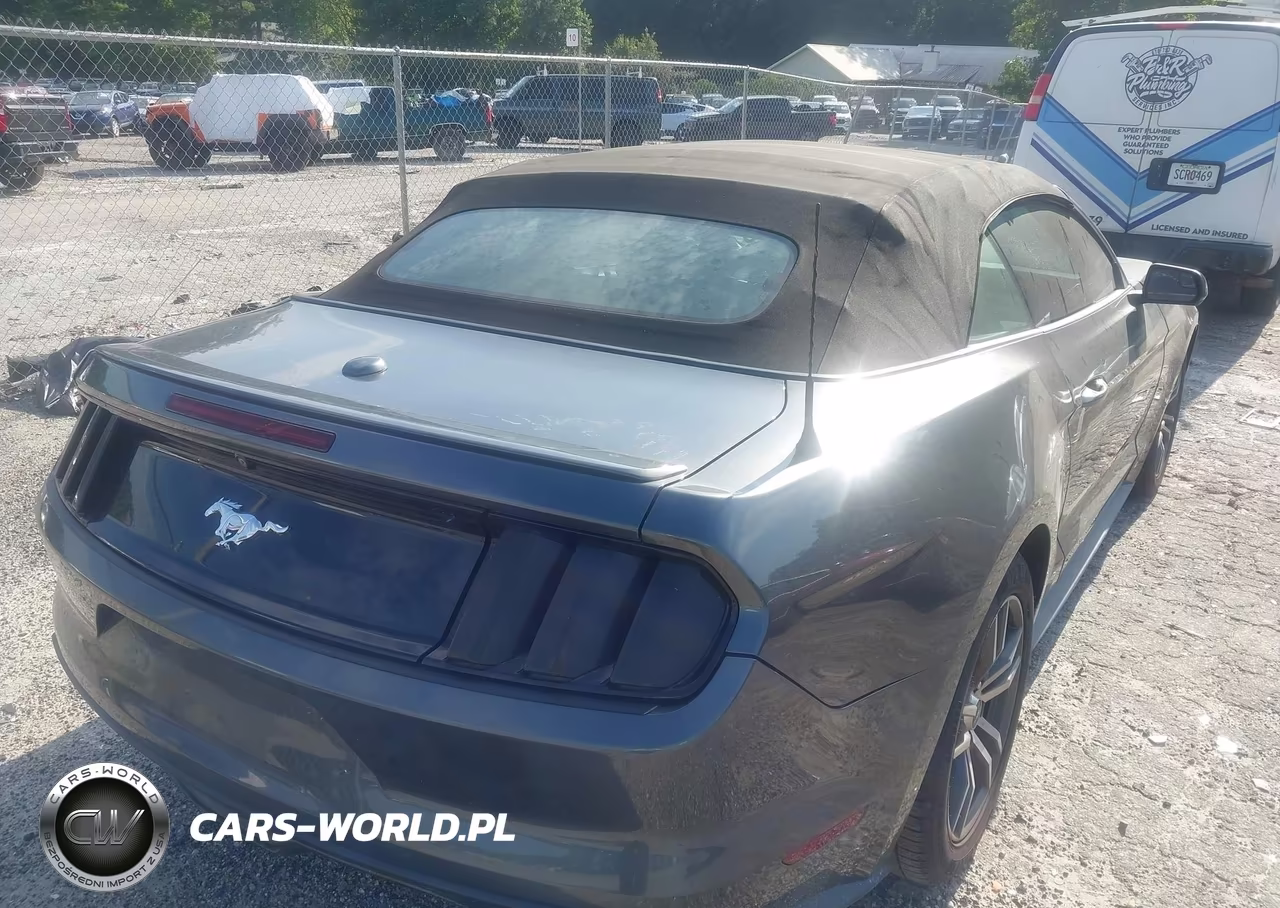 2016 Ford Mustang Ecoboost Premium VIN:1FATP8UH6G5307330 - 4
