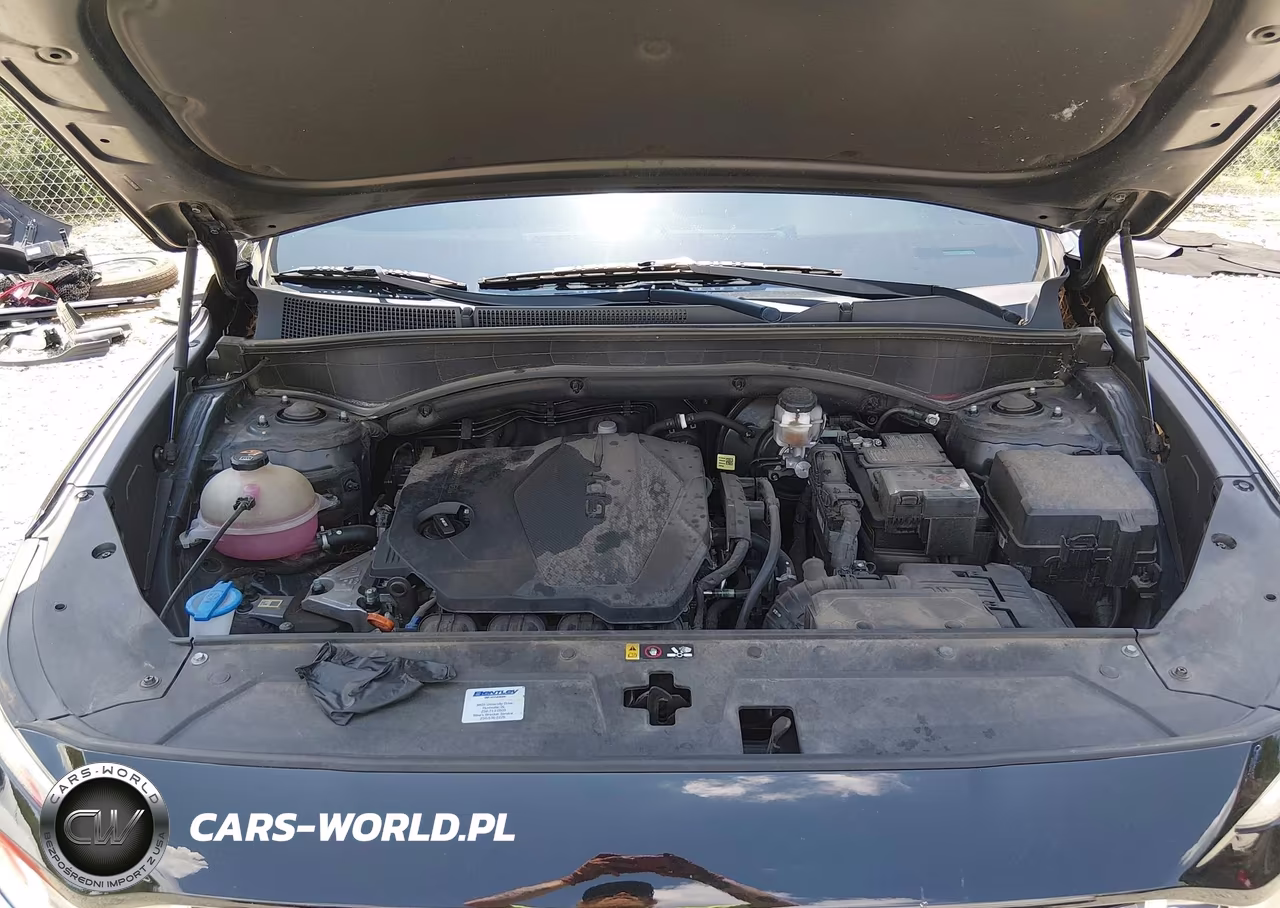 2022 Hyundai Santa Fe Sel VIN:5NMS64AJ9NH406744 - 10