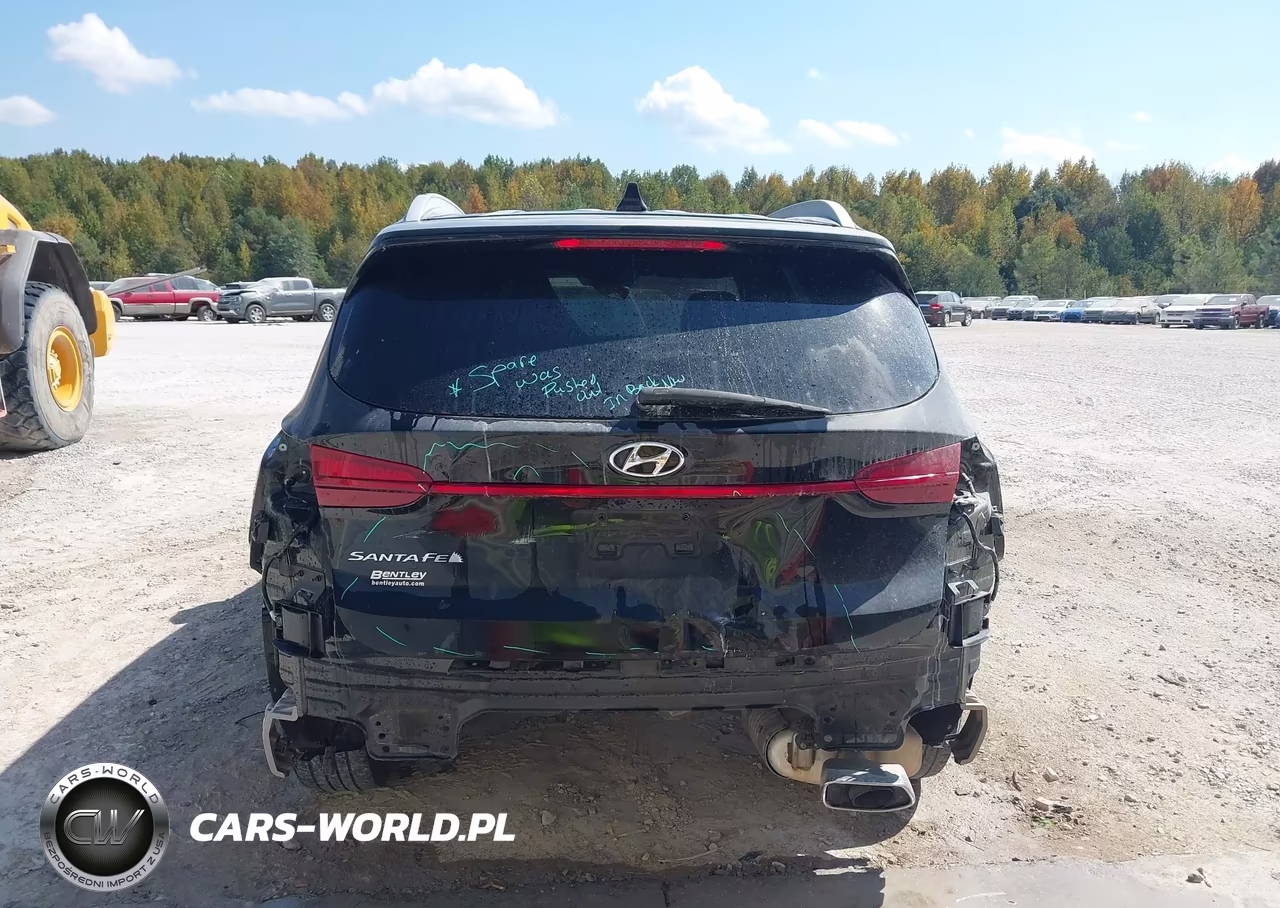 2022 Hyundai Santa Fe Sel VIN:5NMS64AJ9NH406744 - 16