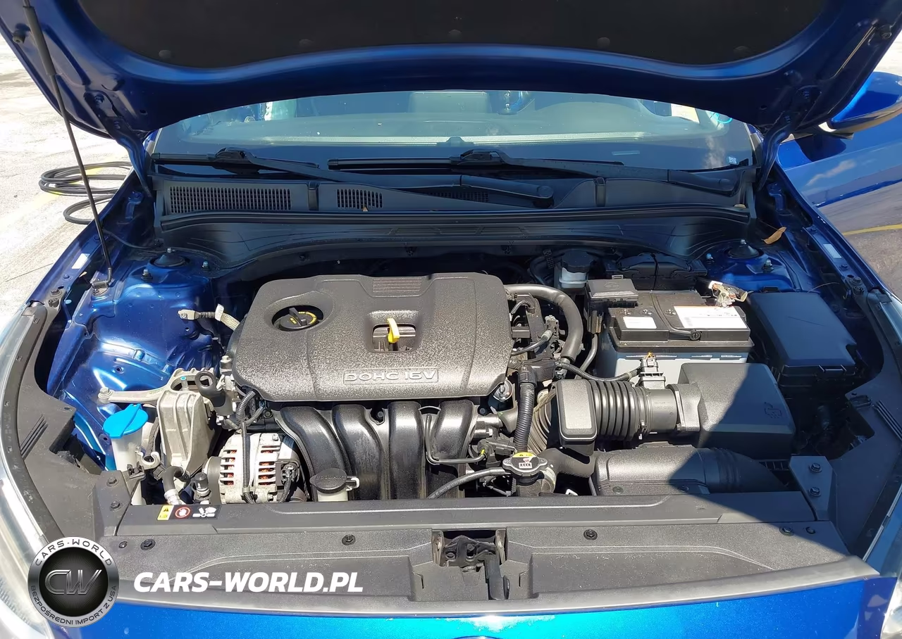 2019 Kia Forte Lxs VIN:3KPF24AD2KE122690 - 10