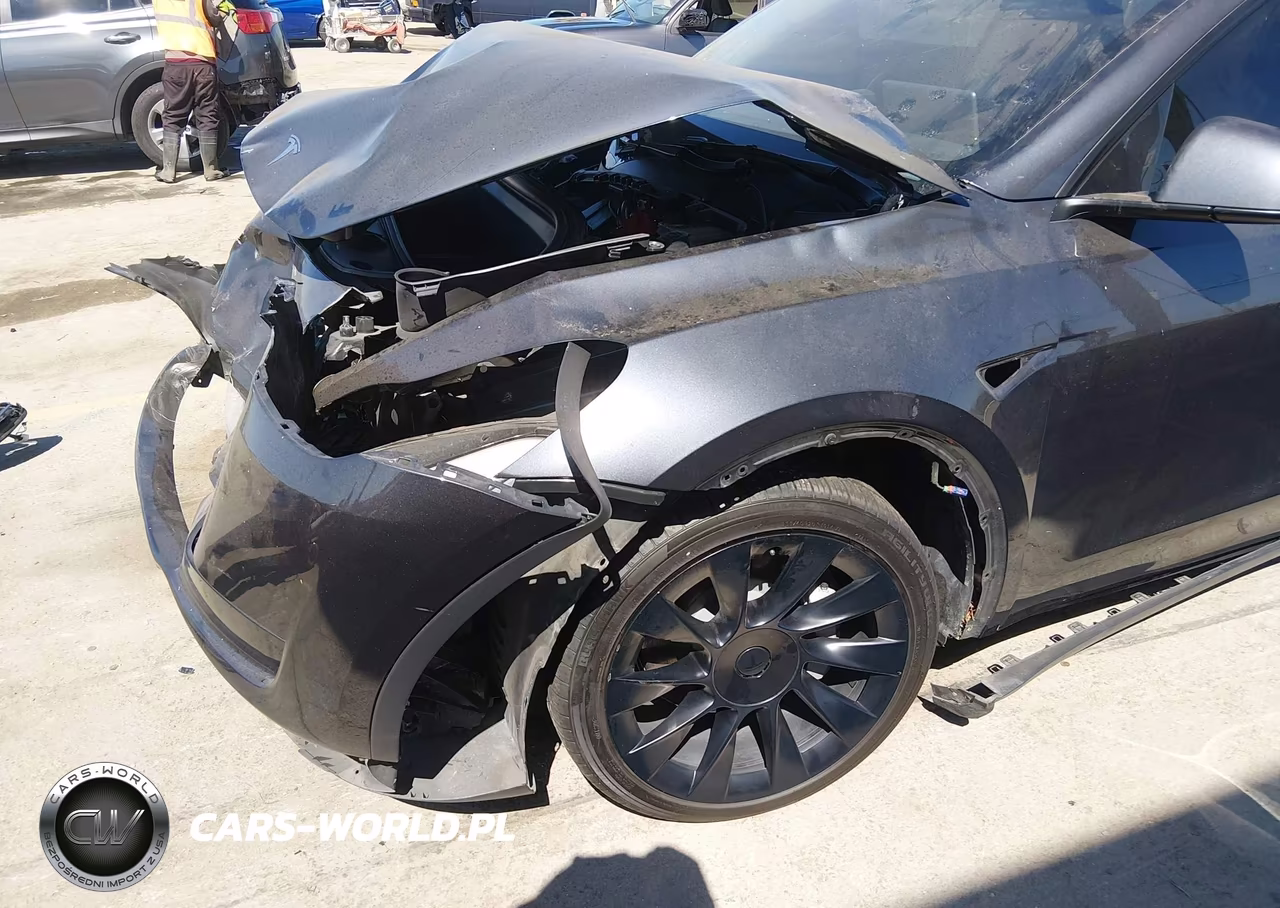 2024 Tesla Model Y Long Range Dual Motor All-Wheel Drive VIN:7SAYGDEE8RA237067 - 21
