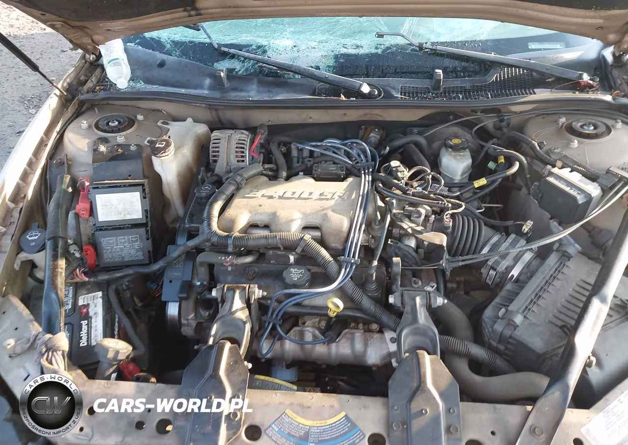 2004 Chevrolet Impala VIN:2G1WF52E249218296 - 10