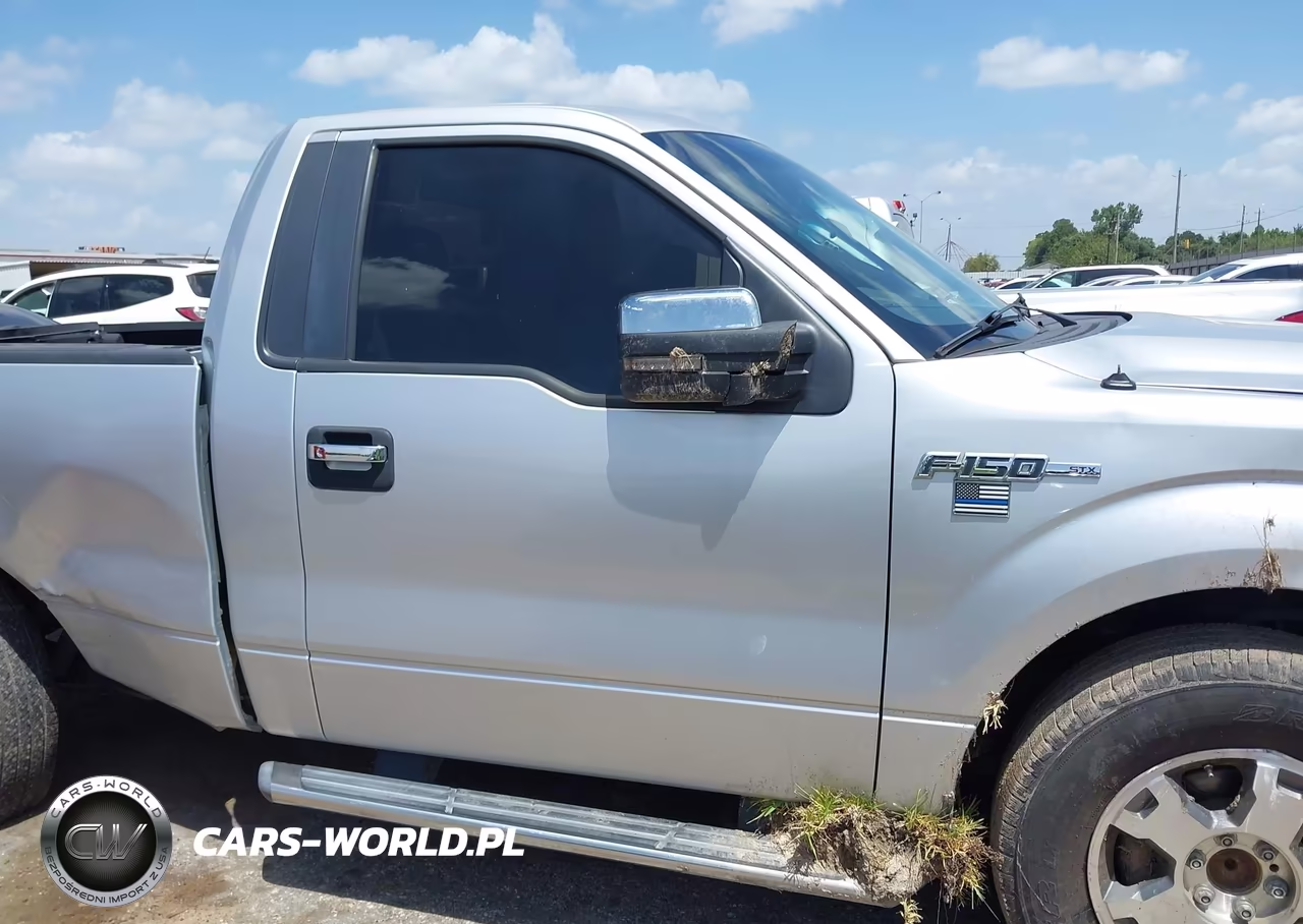 2010 Ford F-150 Stx-Xl-Xl W-Mid-Box Prep-Xlt-Xlt W-Mid-Box Prep VIN:1FTMF1CW9AKA83178 - 13