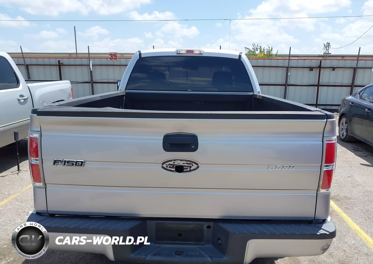 2010 Ford F-150 Stx-Xl-Xl W-Mid-Box Prep-Xlt-Xlt W-Mid-Box Prep VIN:1FTMF1CW9AKA83178 - 16