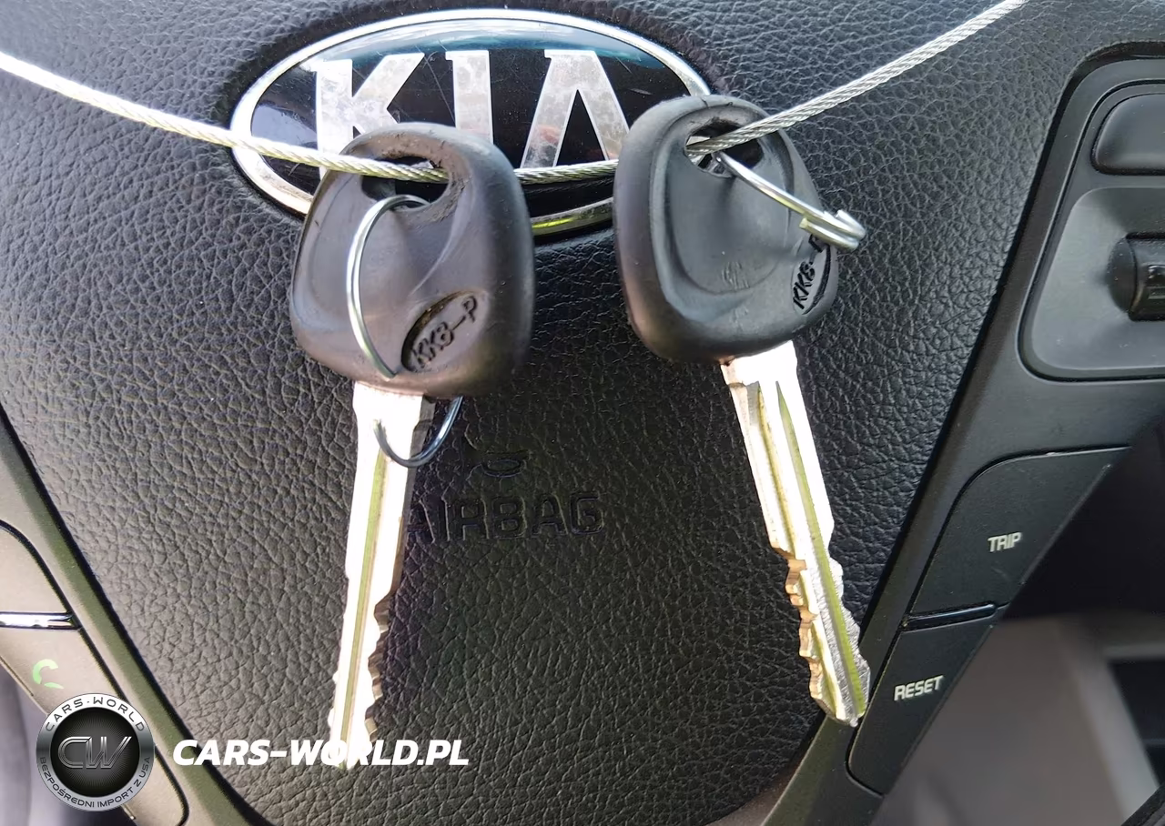2014 Kia Forte Lx VIN:KNAFK4A67E5248641 - 11