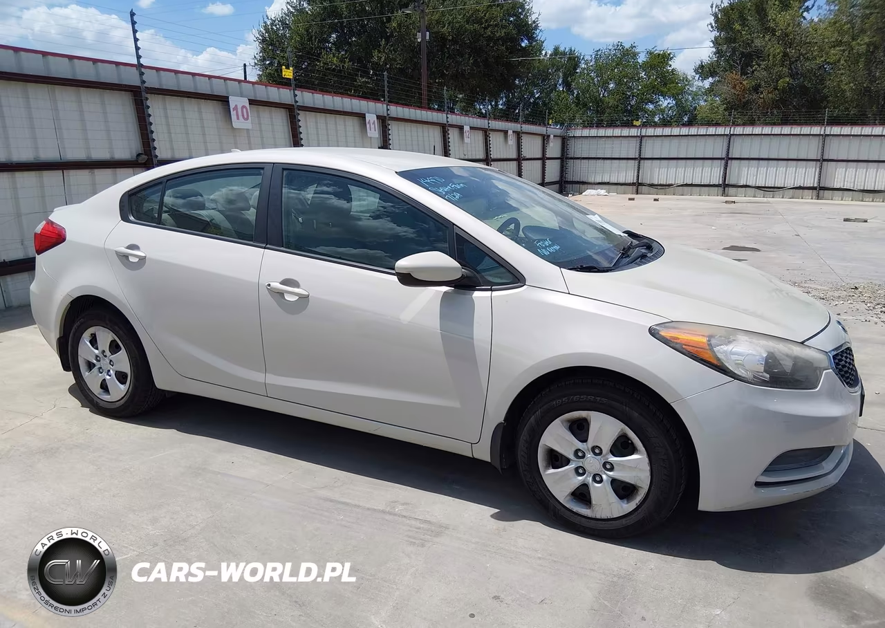 2014 Kia Forte Lx VIN:KNAFK4A67E5248641 - 13