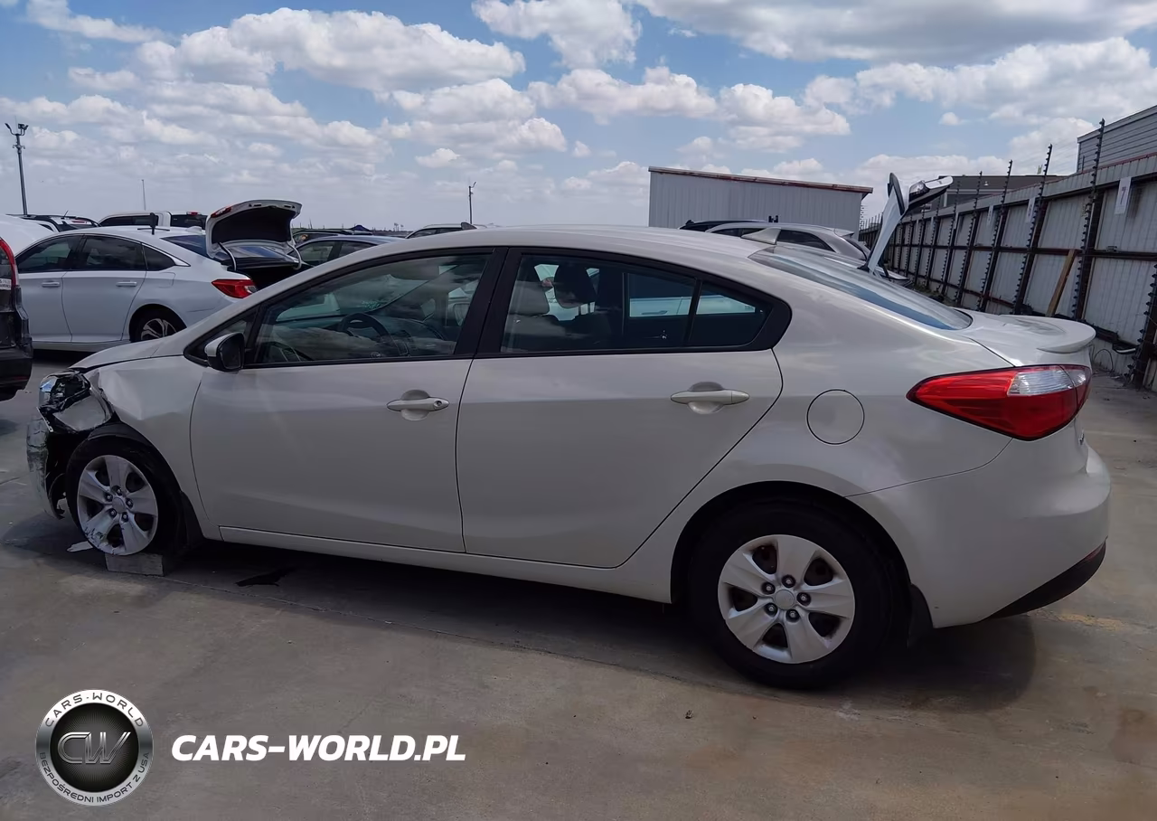 2014 Kia Forte Lx VIN:KNAFK4A67E5248641 - 14