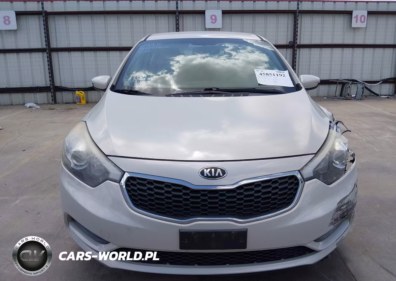 2014 Kia Forte Lx VIN:KNAFK4A67E5248641 - 17