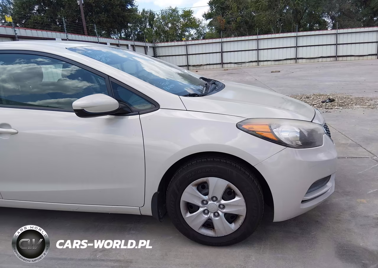 2014 Kia Forte Lx VIN:KNAFK4A67E5248641 - 18